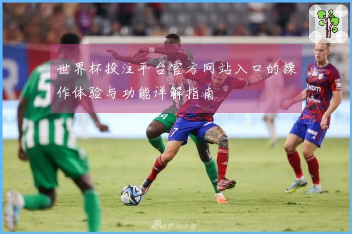 世界杯投注平台官方网站入口的操作体验与功能详解指南