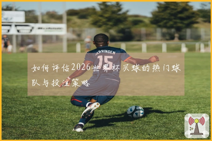 如何评估2026世界杯买球的热门球队与投注策略