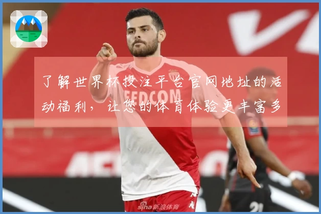 了解世界杯投注平台官网地址的活动福利，让您的体育体验更丰富多彩