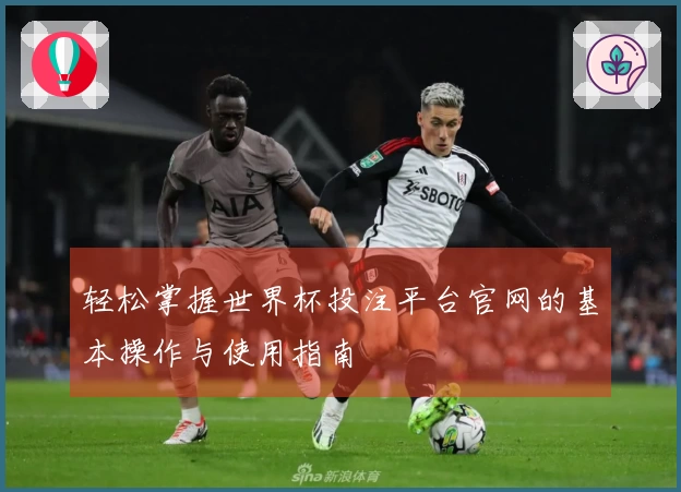 轻松掌握世界杯投注平台官网的基本操作与使用指南
