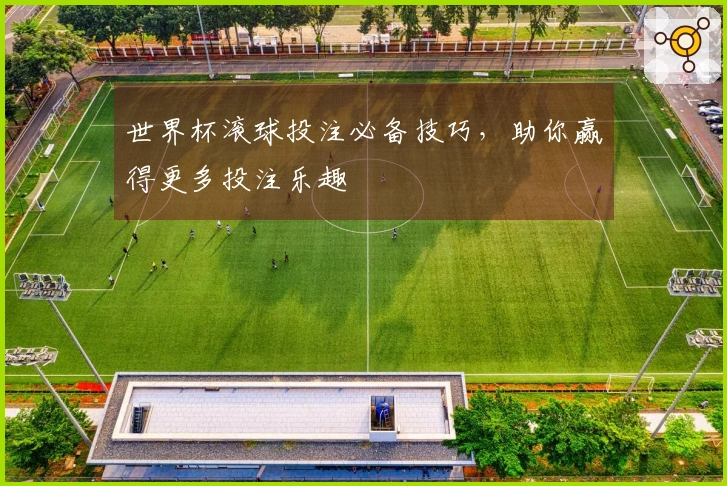 世界杯滚球投注必备技巧，助你赢得更多投注乐趣