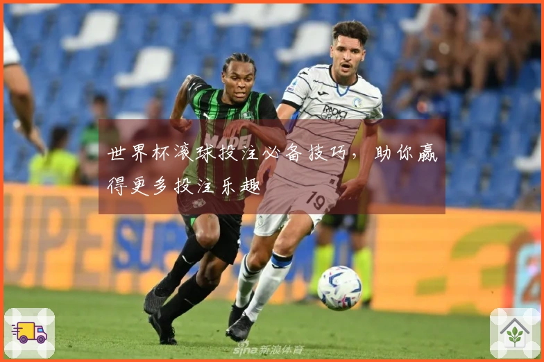 世界杯滚球投注必备技巧，助你赢得更多投注乐趣
