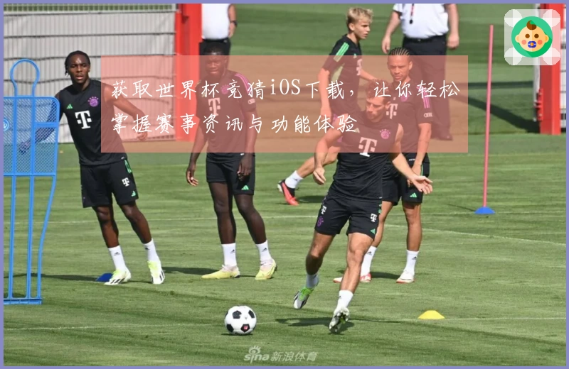 获取世界杯竞猜iOS下载，让你轻松掌握赛事资讯与功能体验