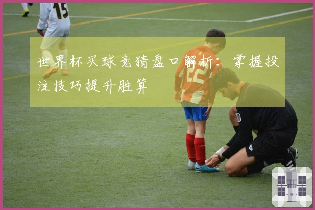 世界杯买球竞猜盘口解析：掌握投注技巧提升胜算